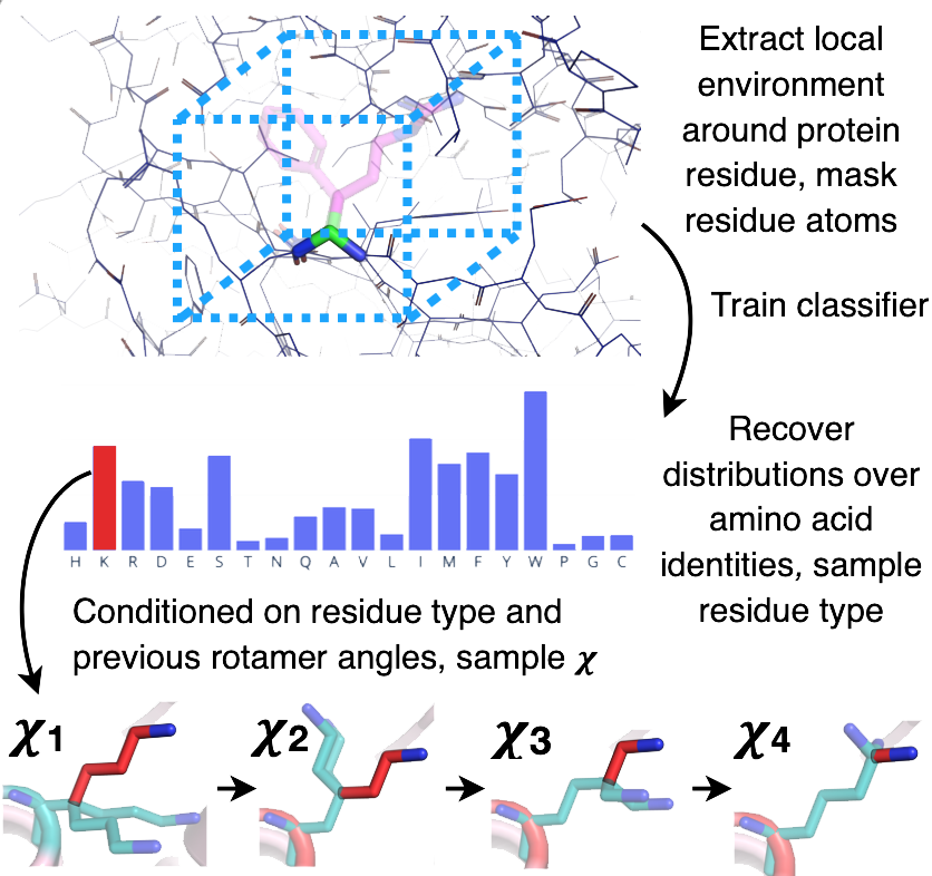 An image describing the algorithm process. The algorithm reads the environment around a particular residue (amino acid piece) and puts it into the Convolutional Neural Network that then produces a distribution of possible amino acids from which the algorithm samples to replace that residue